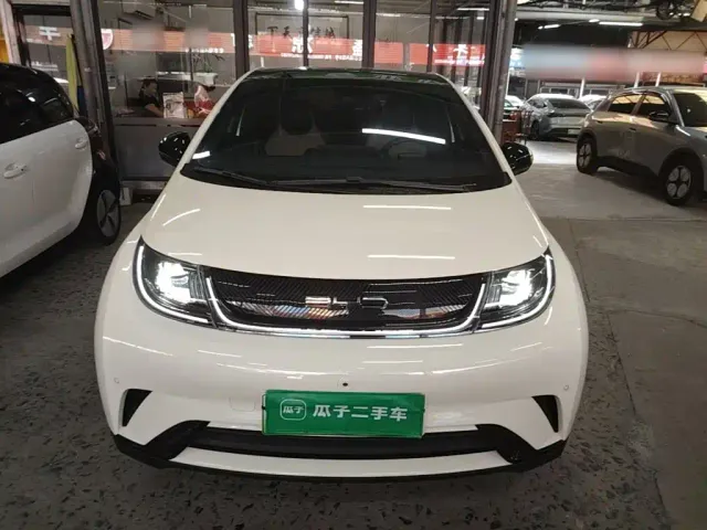 BYD Dolphin — Фото автомобиля 2
