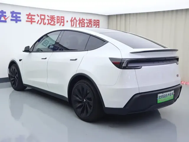 Tesla Model Y 2025 Long Range All-Wheel Drive — Фото автомобиля 22
