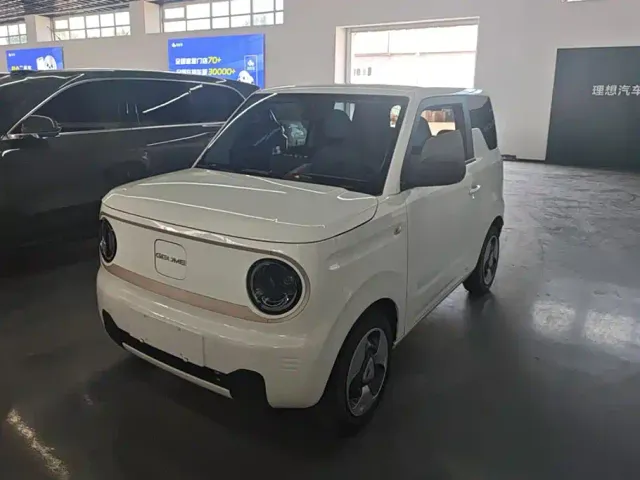 Фотография автомобиля — Geely Panda
