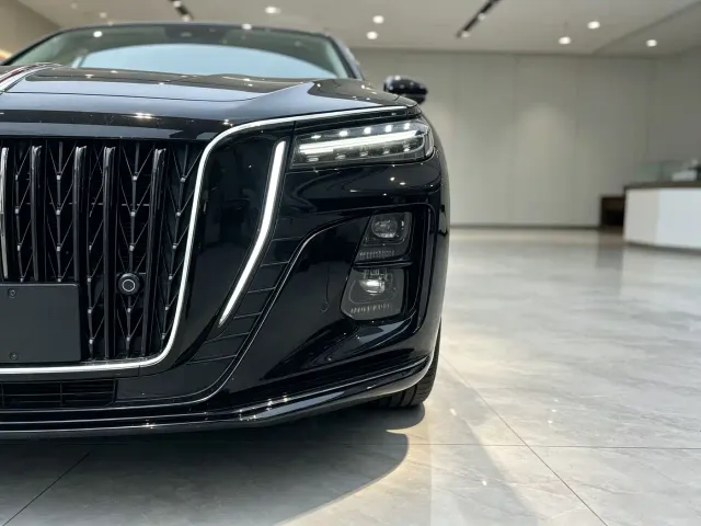 Hongqi H5 — Фото автомобиля 15