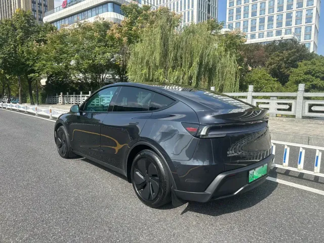 Tesla Model Y — Фото автомобиля 3