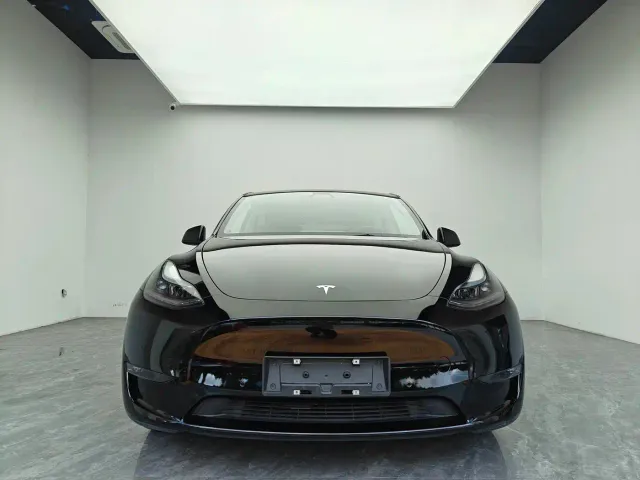 Tesla Model Y — Фото автомобиля 2
