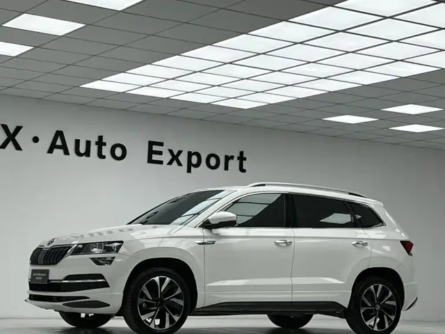 Skoda Karoq — Фото автомобиля 4