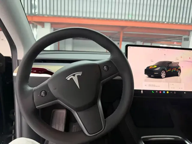 Tesla Model Y — Фото автомобиля 11