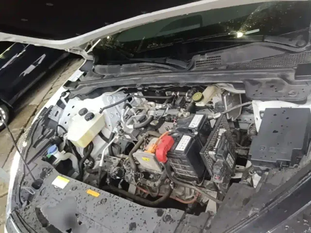 Dongfeng Fengshen L7 — Фото автомобиля 19