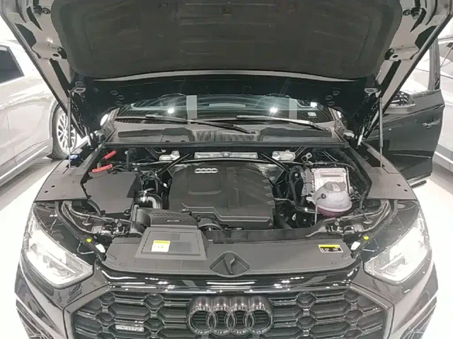 Audi Q5L — Фото автомобиля 19