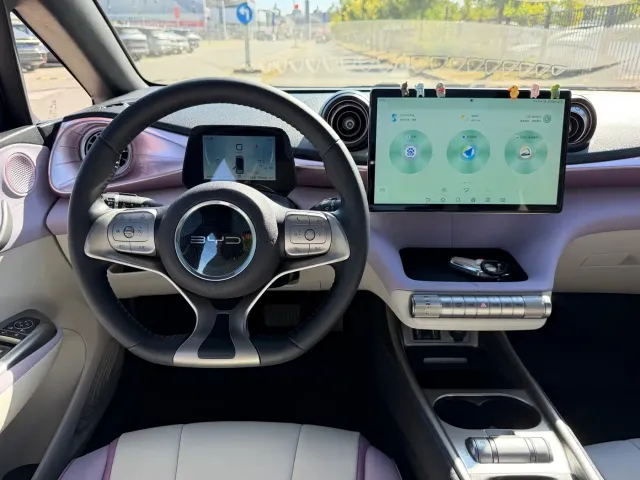 BYD Dolphin — Фото автомобиля 16