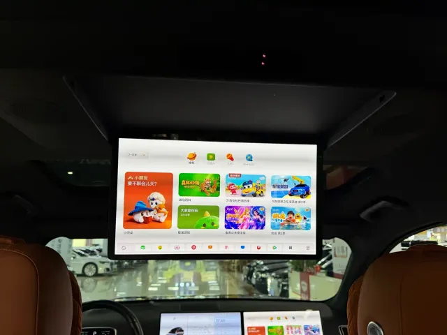 Li Auto L9 — Фото автомобиля 15