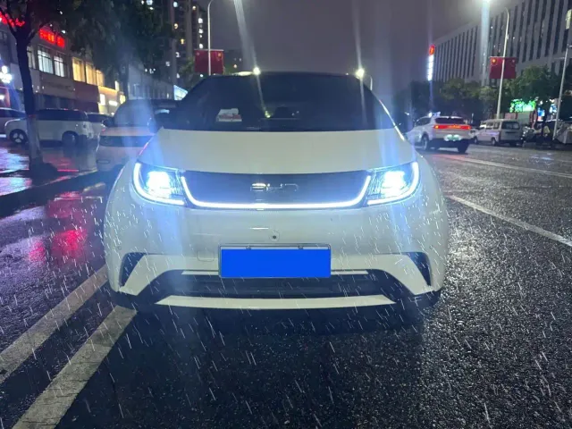 BYD Dolphin — Фото автомобиля 2