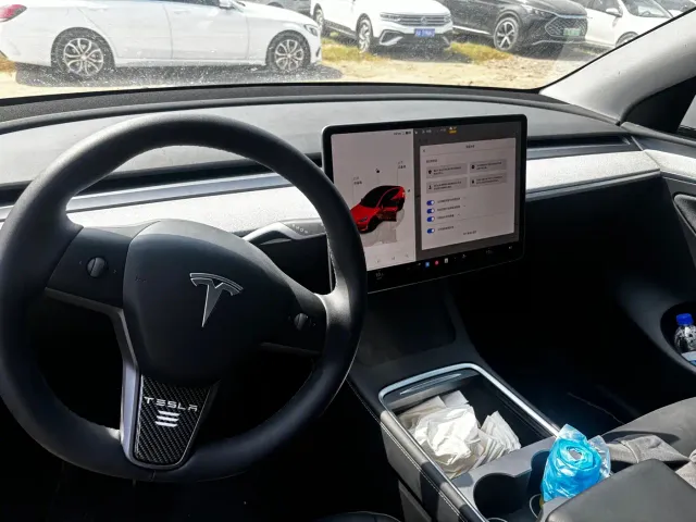 Tesla Model Y — Фото автомобиля 9