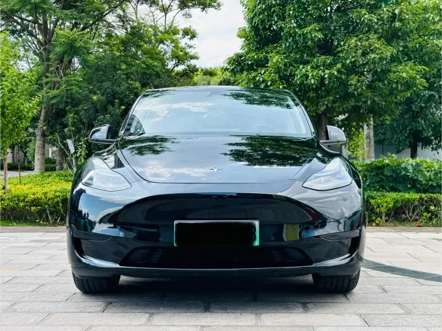 Tesla Model Y — Фото автомобиля 2