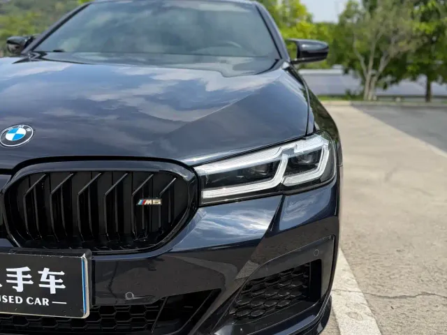 BMW 5 Series — Фото автомобиля 8