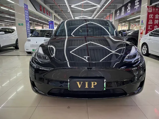 Tesla Model Y — Фото автомобиля 2