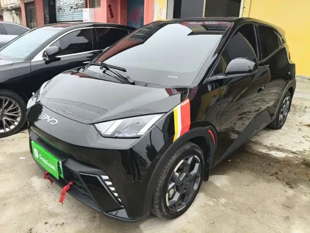 Фотография автомобиля — BYD Seagull