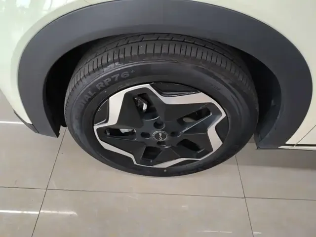 BYD Dolphin 2024 Glory Edition 420km Freedom Edition — Фото автомобиля 22