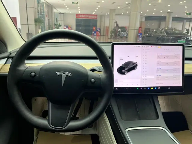 Tesla Model Y — Фото автомобиля 19