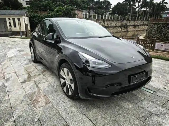 Tesla Model Y — Фото автомобиля 3