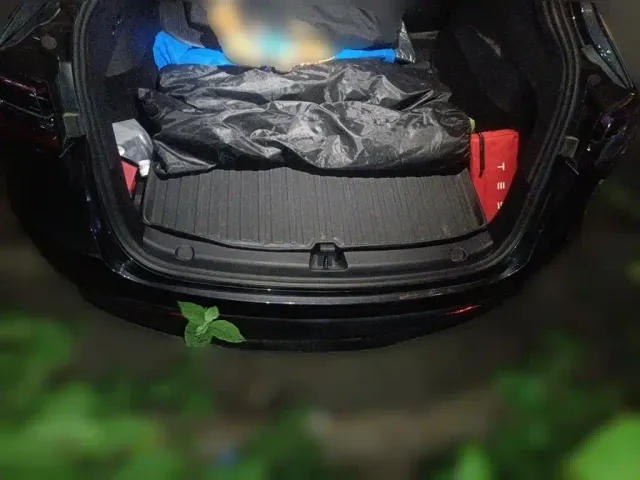 Tesla Model Y — Фото автомобиля 15