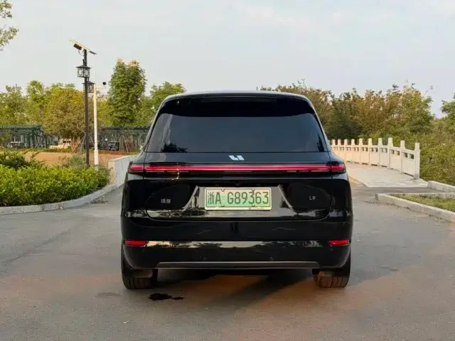 Li Auto L9 — Фото автомобиля 10