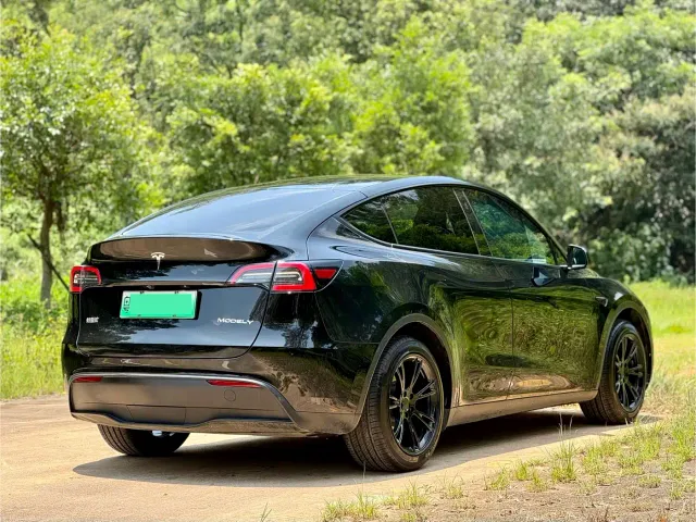 Tesla Model Y — Фото автомобиля 6