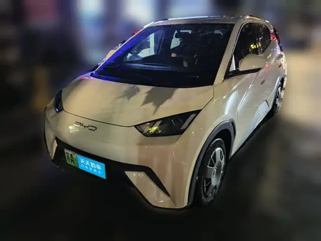 Фотография автомобиля — BYD Seagull