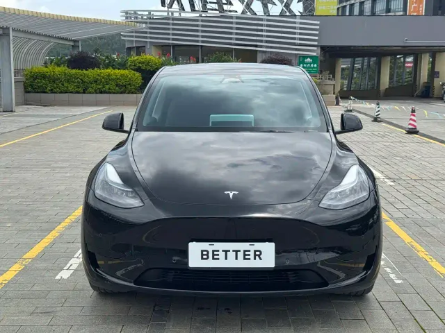 Tesla Model Y — Фото автомобиля 3