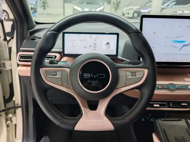 BYD Seagull — Фото автомобиля 9