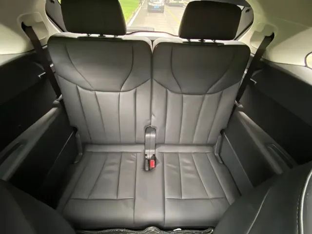 Hongqi Hongqi E-HS9 2021 460km Flagship Comfort 6-seater — Фото автомобиля 17
