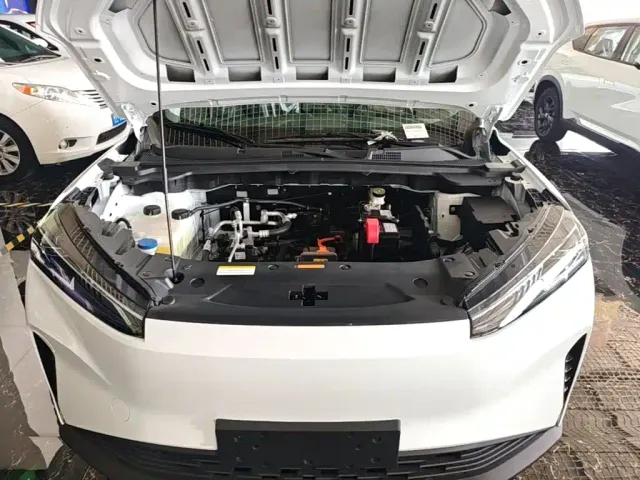 Dongfeng SKY EV01 — Фото автомобиля 15