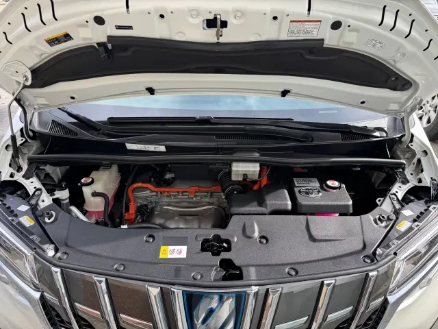 Toyota Alphard — Фото автомобиля 26