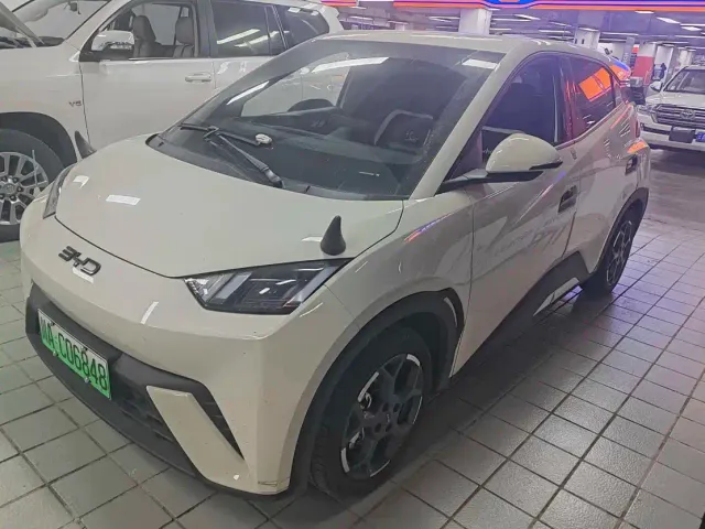 Фотография автомобиля — BYD Seagull