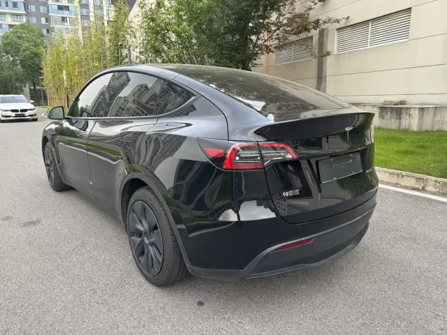 Tesla Model Y — Фото автомобиля 6