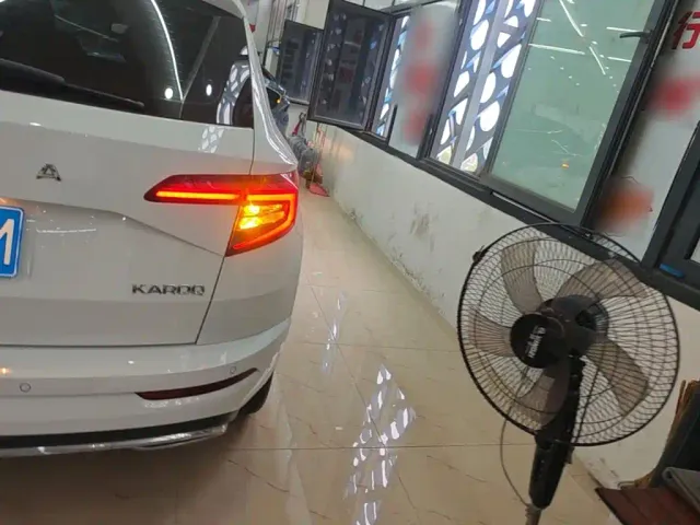 Skoda Karoq — Фото автомобиля 7