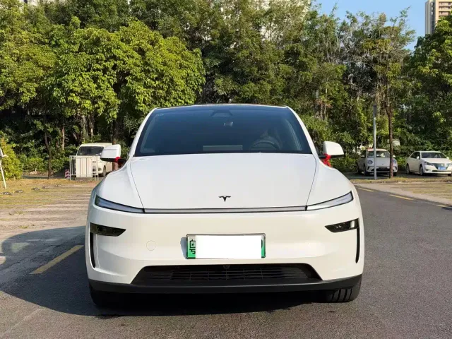 Tesla Model Y — Фото автомобиля 2