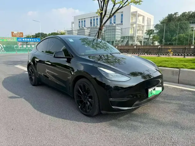 Tesla Model Y — Фото автомобиля 3
