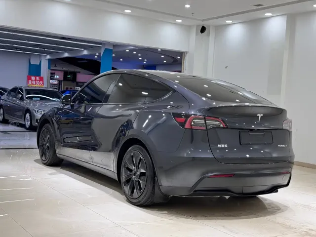 Tesla Model Y — Фото автомобиля 5