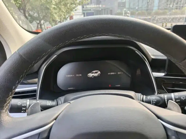 Haval Haval H6 2021 Model 1.5T Automatic Champion Edition — Фото автомобиля 13