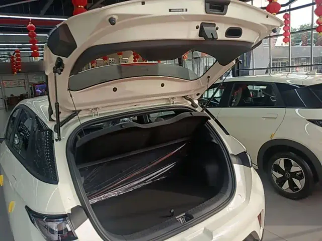 BYD Dolphin — Фото автомобиля 18