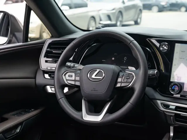 Lexus RX — Фото автомобиля 14