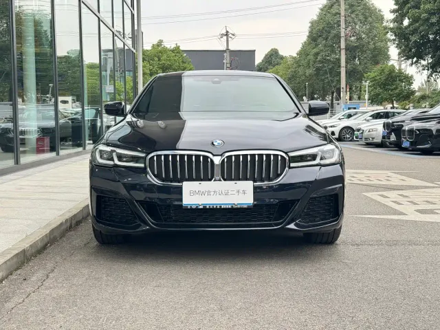 BMW 5 Series — Фото автомобиля 2