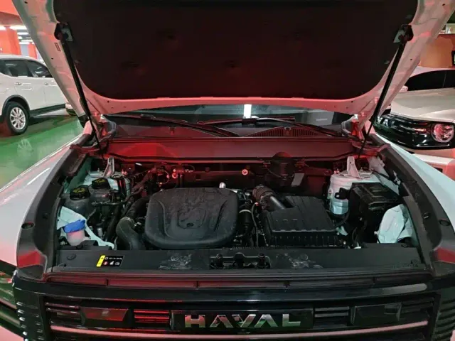 Haval Raptor — Фото автомобиля 19