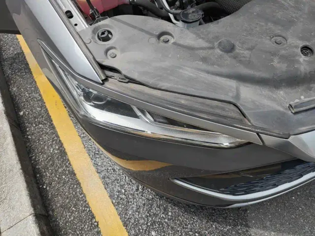 BYD Qin PLUS — Фото автомобиля 7