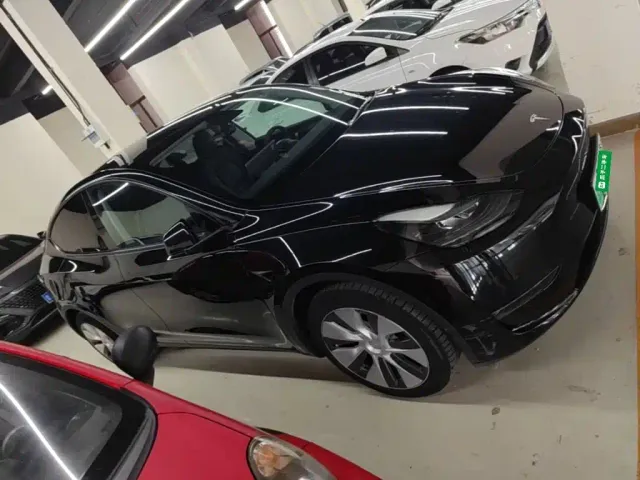 Tesla Model Y — Фото автомобиля 28