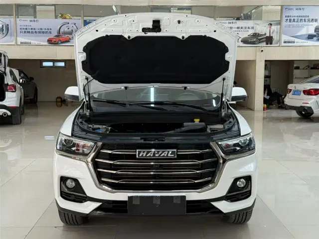 Haval H6 — Фото автомобиля 16