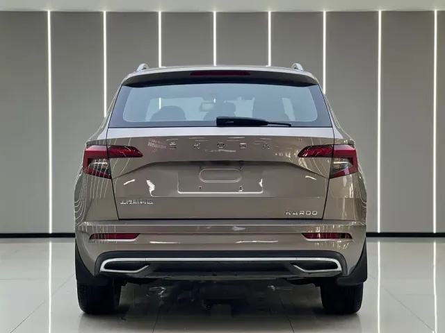 Skoda Karoq — Фото автомобиля 17
