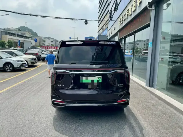 Hongqi Hongqi HQ9 PHEV 2024 Model 2.0T AWD Luxury Edition — Фото автомобиля 9