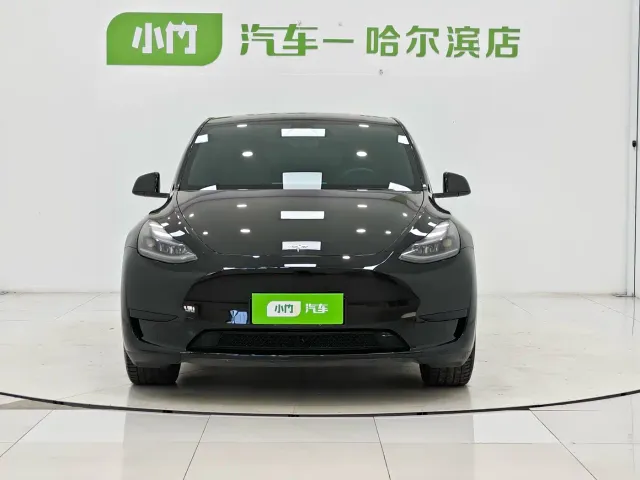 Tesla Model Y — Фото автомобиля 2