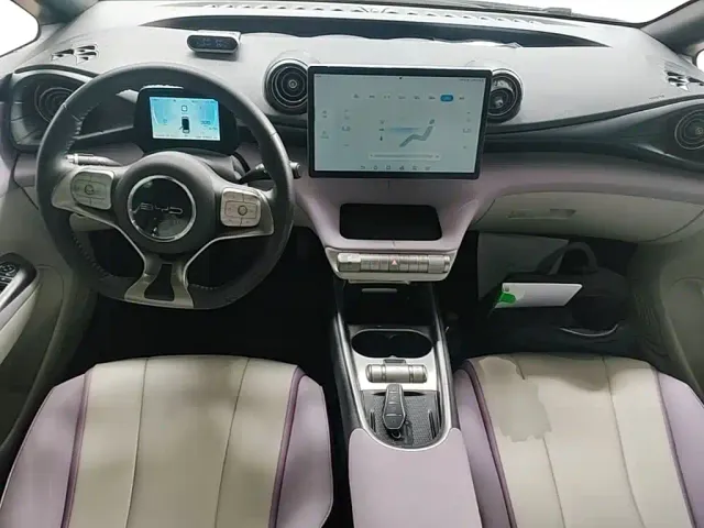 BYD Dolphin — Фото автомобиля 9
