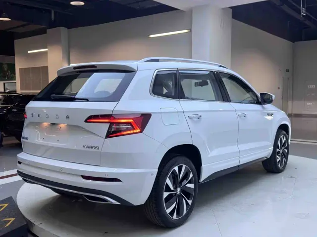 Skoda Karoq — Фото автомобиля 6