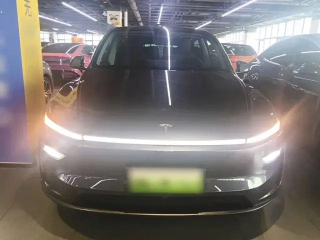 Tesla Model Y — Фото автомобиля 2